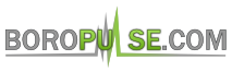 The Murfreesboro Pulse