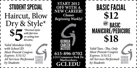 Georgia Career Institute