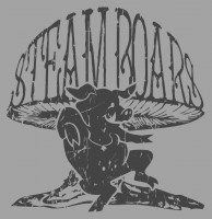 Steam Boars