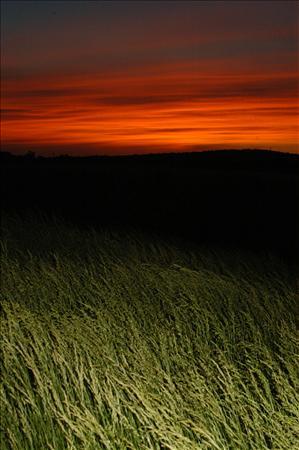 Iowa sunrise