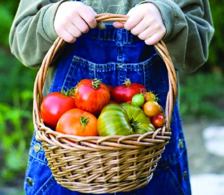 tomatobasket