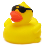 ducky_web