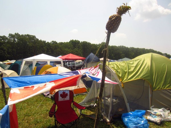 Bonnaroo pineapple campsite marker