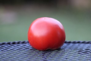 Tomato (2) (Custom)