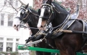 2012 Rutherford County Christmas Parade (48)