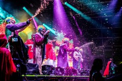 Bonnaroo-2025-by-Ashleigh-Newnes-1