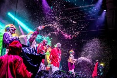 Bonnaroo-2025-by-Ashleigh-Newnes-3