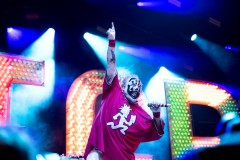 Bonnaroo-2025-by-Ashleigh-Newnes-5