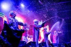 Bonnaroo-2025-by-Ashleigh-Newnes-50