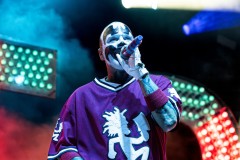 Bonnaroo-2025-by-Ashleigh-Newnes-6