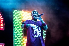 Bonnaroo-2025-by-Ashleigh-Newnes-7