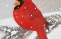 CollectionsByAmberly_ Winter Cardinal