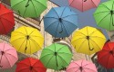 Youth / Still Life - “Jerusalem Umbrellas” by Abby Byrnes