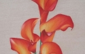 Aberly Clemons Flower Color Pencil 8x10