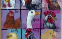 Joy Sneed_ The Birdy Bunch acrylic 8x8