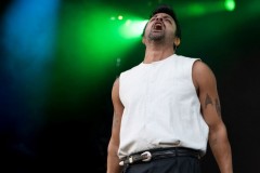 Pilgrimage-2025-by-Ashleigh-Newnes-23