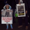 Protests at the Ringling Bros. and Barnum & Bailey Circus, Nashville, 2012. Photos by Jamie Donahue