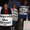 Protests at the Ringling Bros. and Barnum & Bailey Circus, Nashville, 2012. Photos by Jamie Donahue