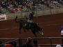 Southern Extreme Bull Riding Association