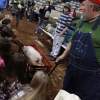 A petting area allowed kids to get up close and personal with a variety of animals... 