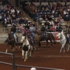 Just before the bull riding action began horses flooded the coliseum floor