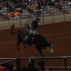 The Southern Extreme Bull Riding Association hit Murfreesboro's Miller Coliseum on Jan. 27, 2012