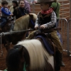 This young cowpoke hopped on a pony before the bull riding action began