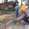 Wilson Co. Fair