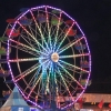 Wilson Co. Fair