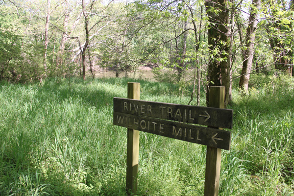 Henry horton state park hiking clearance trails