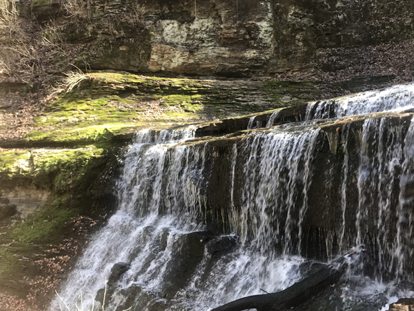 Jackson Falls: Beautiful Natural Feature Flows Just off of Natchez Trace  Near Tennessee's Duck River - The Murfreesboro Pulse
