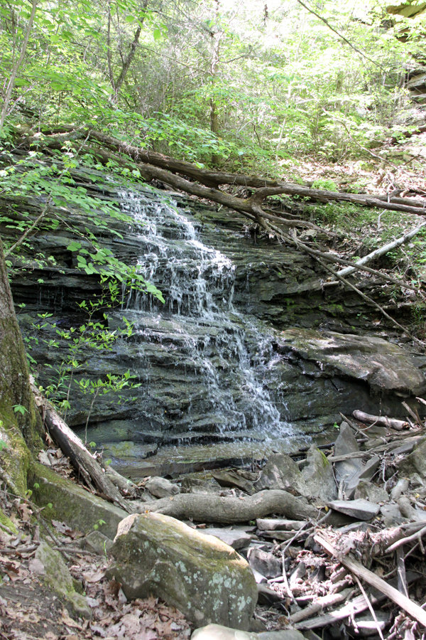 Explore the Signal Mountain Woods at Falling Water Falls and Mabbit ...