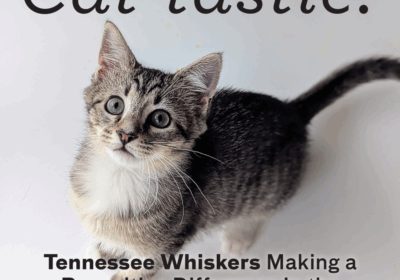 TennesseeWhiskers-1100x-
