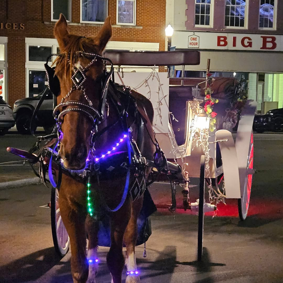 Carriage Rides 1100x - The Murfreesboro Pulse