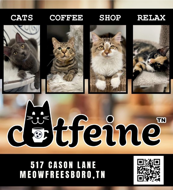 Catfeine